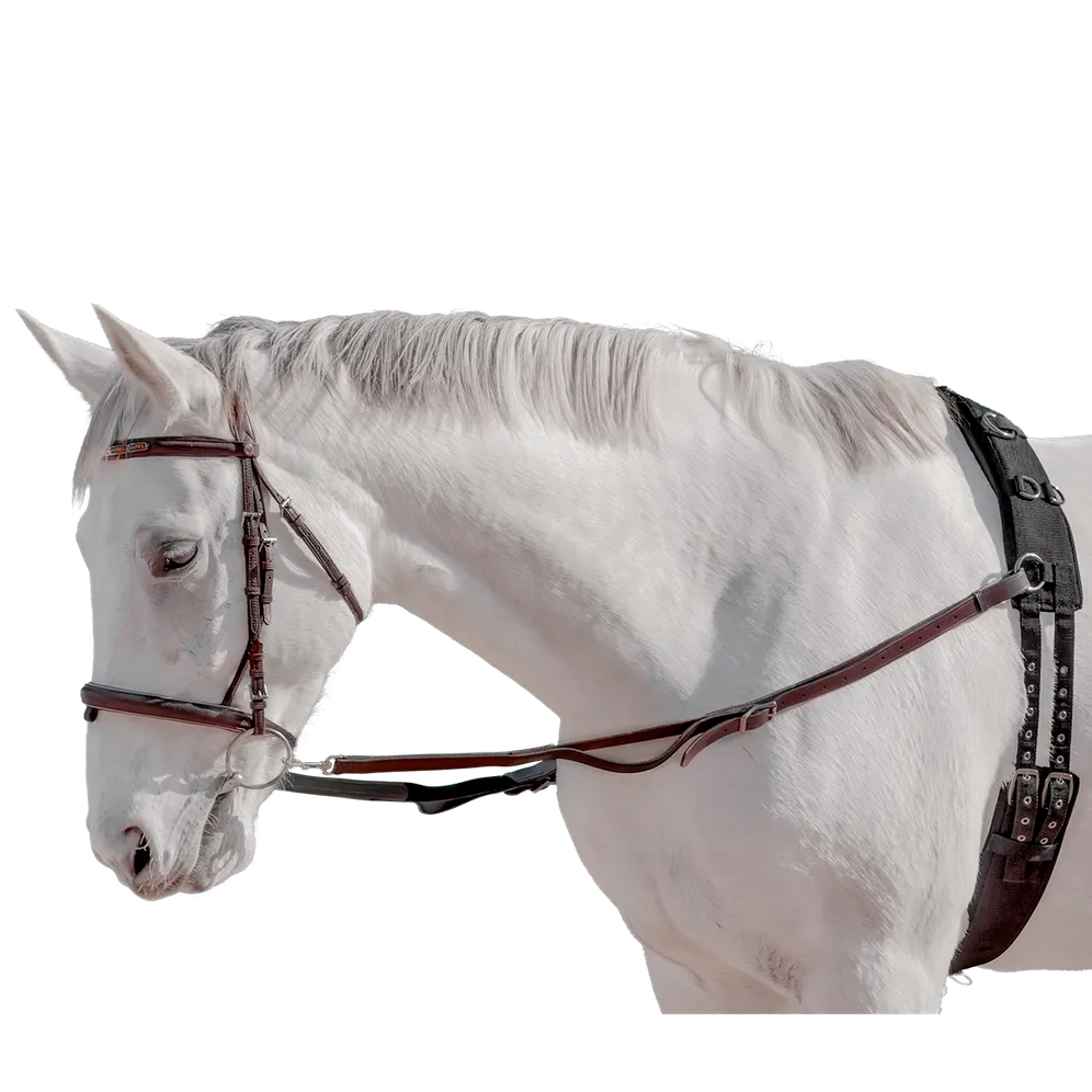 Capriole Side Reins Leather Elastic by Eque Vogue